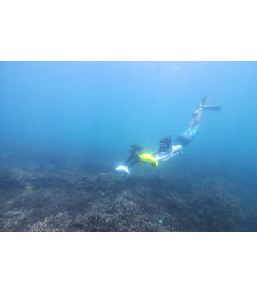 ASIWO Manta Blue
