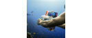 SUBLUE Funda H1+