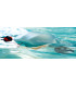 ASIWO Manta 2 — Scooter Submarino 15 kgf
