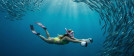 SUBLUE Mix Arctic White 2026